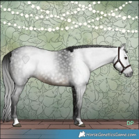 Horse Color:Gray Buckskin 