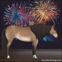 Horse Color:Buckskin Roan 