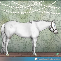 Horse Color:Gray Brown Dun Tobiano Frame Rabicano