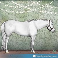 Horse Color:Gray Brown Dun Tobiano Frame Rabicano 