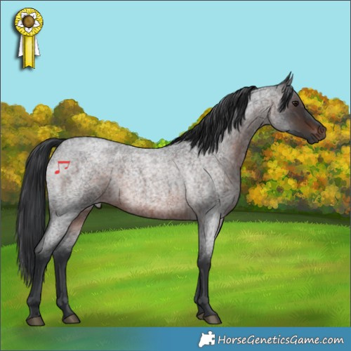 Horse Color:Brown Roan 