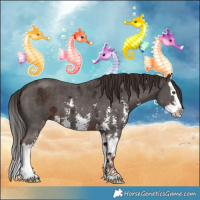 Horse Color:Liver Chestnut Sabino Splash