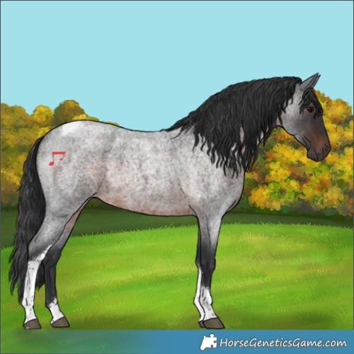 Horse Color:Brown Roan Tobiano 