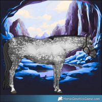 Horse Color:Black Ice 