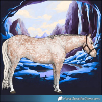 Horse Color:Silver Bay Ice 