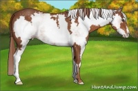 Horse Color:White Spotted Chestnut Frame