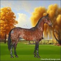 Horse Color:Brown Dun  and Brown 