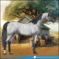 Horse Color:Brown Roan Varnish 