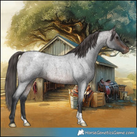 Horse Color:Brown Roan Varnish 