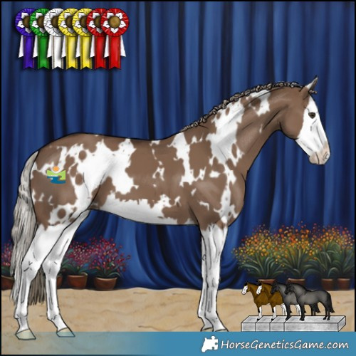 Horse Color:White Spotted Liver Red Dun Splash 