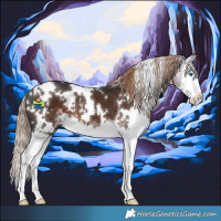 Horse Color:White Spotted Liver Chestnut Sabino Splash 