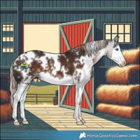 Horse Color:White Spotted Liver Chestnut Sabino Splash 