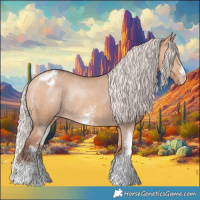 Horse Color:Silver Bay Dun Sabino Appaloosa Rabicano 