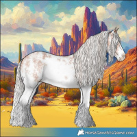 Horse Color:Silver Bay Sabino Rabicano 