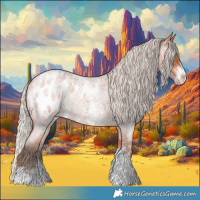 Horse Color:Silver Bay Roan Sabino Appaloosa Rabicano 