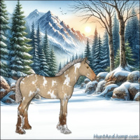 Horse Color:White Spotted Silver Buckskin Dun 