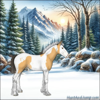 Horse Color:Buckskin Sabino Splash Tobiano 
