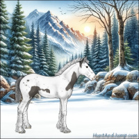 Horse Color:Grullo Splash Tobiano 
