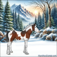 Horse Color:Brown Splash Tobiano 