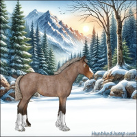 Horse Color:Gray Silver Buckskin Roan 