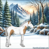 Horse Color:Silver Buckskin Splash Tobiano 