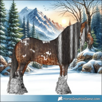 Horse Color:White Spotted Buckskin Splash Tobiano Rabicano  and White Spotted Bay Tobiano Rabicano 