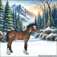 Horse Color:White Spotted Brown Tobiano Rabicano 