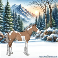 Horse Color:Silver Bay Dun Splash Tobiano Rabicano 