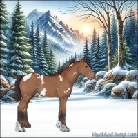 Horse Color:White Spotted Bay Tobiano Rabicano 