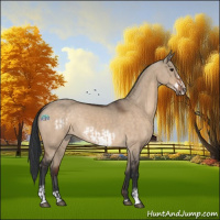 Horse Color:Bay Dun  and Bay Dun Frame 