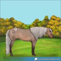 Horse Color:Silver Brown Dun Varnish 