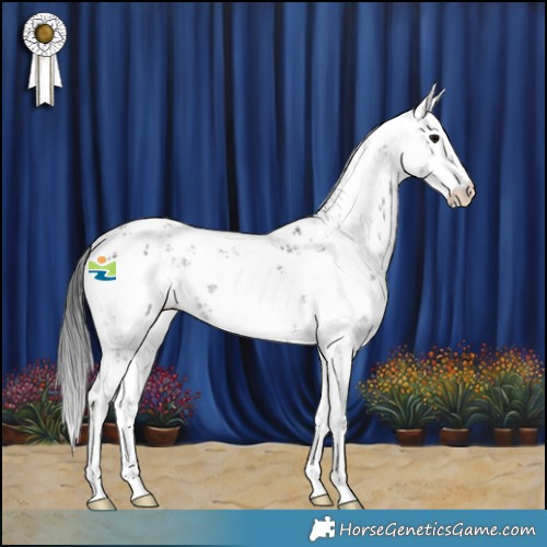 Horse Color:Black Sabino 