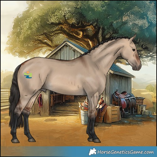 Horse Color:Bay Dun 