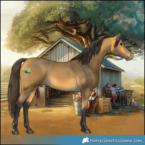 Horse Color:Buckskin 