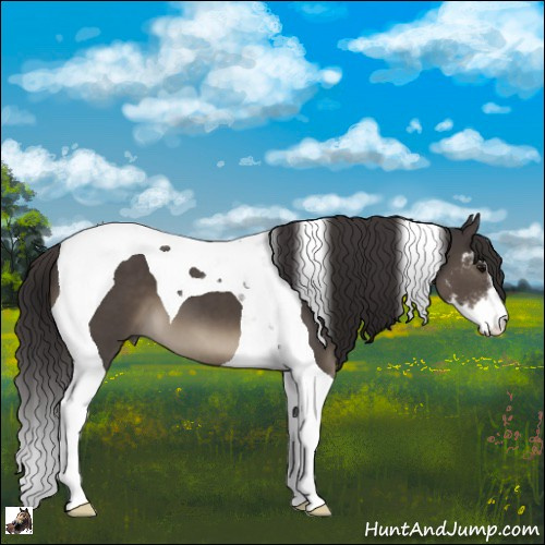 Horse Color:Smoky Black Sabino Tobiano 