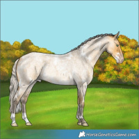 Horse Color:White Spotted Silver Sable Cream Champagne Roan 
