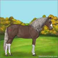 Horse Color:Silver Black 