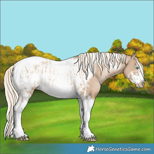 Horse Color:Chocolate Palomino Pearl Tobiano Frame  and Chocolate Palomino Pearl Tobiano Frame 