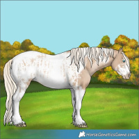 Horse Color:Chocolate Palomino Pearl Tobiano Frame and Chocolate Palomino Pearl Tobiano Frame