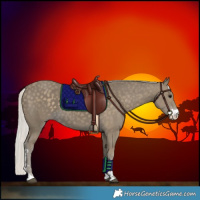 Horse Color:Silver Smoky Black Sabino 