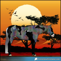 Horse Color:Nacre Black Splash Tobiano Varnish Rabicano 
