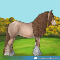 Horse Color:Liver Red Roan Pearl Tobiano Frame 
