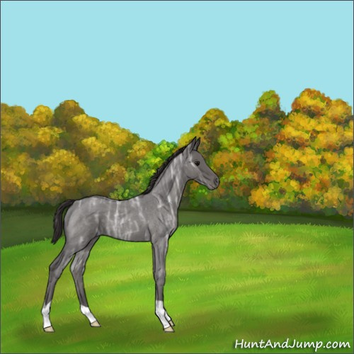 Horse Color:Smoky Blue Ice Roan 
