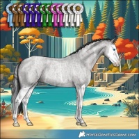 Horse Color:Grullo Ice Roan Splash