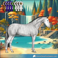 Horse Color:Grullo Ice Roan Splash 