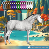 Horse Color:Grullo Ice Roan Splash 