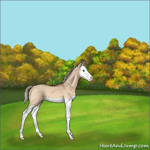 Horse Color:Silver Brown Roan Dun Splash 