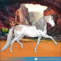 Horse Color:Silver Brown Roan Splash Varnish 