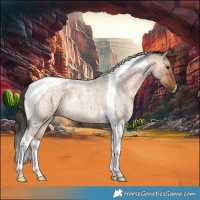 Horse Color:Bay Roan Dun Tobiano