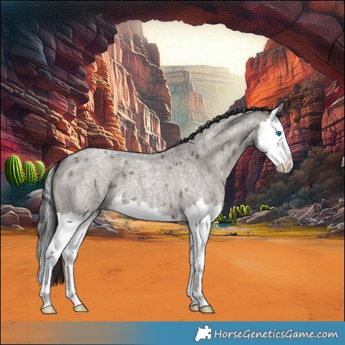 Horse Color:Smoky Grullo Roan Splash 